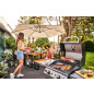 Dujinis grilis Char-Broil Performance Pro S 2
