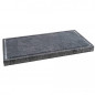 Lavos akmuo 50x30