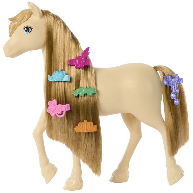 „Barbie Mysteries“ ponio rinkinys (HXJ29)
