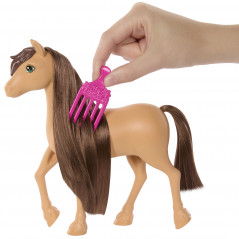 „Barbie Mysteries“ ponio rinkinys (HXJ29)