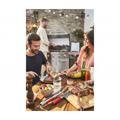 Dujinis grilis Char-Broil Professional Pro S 4