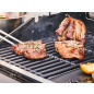 Dujinis grilis Char-Broil Professional Pro S 2
