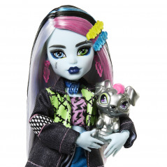 „Monster High“ lėlė Frenkė (HXH73)