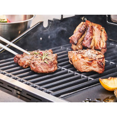Dujinis grilis Char-Broil Performance Pro S 3